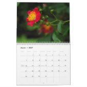 ROSEN 2013 Wand Callendar Kalender (Mär 2027)