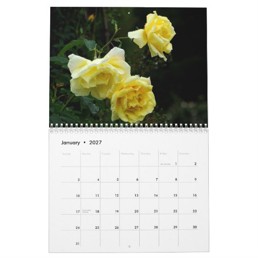 ROSEN 2013 Wand Callendar Kalender (Jan 2027)