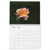 ROSEN 2013 Wand Callendar Kalender (Feb 2027)