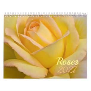 Rosen 2026 Blumenkalender Kalender