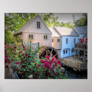 Rosen an der Plimoth Mahlgut-Mühle Poster