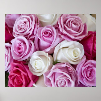 Rosen auf Leinwand Poster