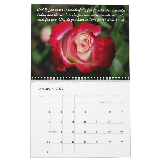 Rosen-Bibel versifiziert Kalender 2016 (Jan 2027)