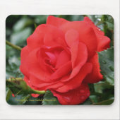 Rosen-Blumen-Fotografie Mousepad (Vorne)