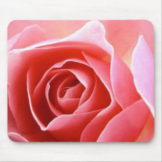 Rosen-Blumenblatt-Rosa Mousepad