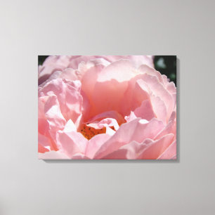Rosen-Blumengarten Leinwand Fotodrucke