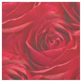 Rosen-Blumenphotographie - abstraktes Muster Stoff (Nahaufnahme)