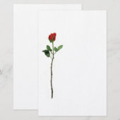 Rosen-Briefpapier Briefpapier (Vorne/Hinten)