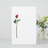 Rosen-Briefpapier Briefpapier (Stehend Vorderseite)