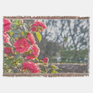 Rosen decke
