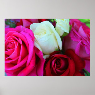 Rosen-Druck Poster