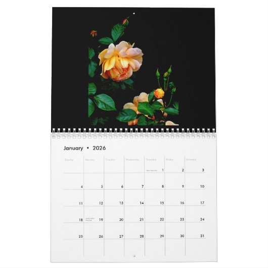 Rosen durch das Dutzend Kalender (Jan 2026)