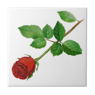 Rosen-Fliese Fliese
