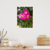 Rosen Foto Poster (Küche)