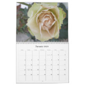 Rosen-Foto-Rosen-Foto-Blumen-Kalender Kalender (Jan 2026)
