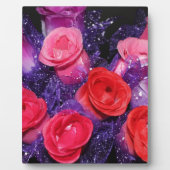 Rosen Fotoplatte (Vorderseite)