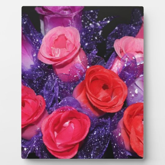 Rosen Fotoplatte (Vorderseite)