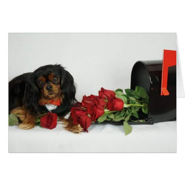 Rosen für Sie (Vorderseite (Horizontal))