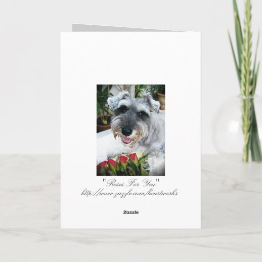 Rosen für Sie - danke (Rückseite)