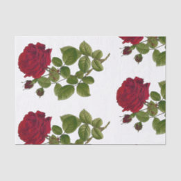 Rosen-Garten-Seidenpapier 10" x15 " Seidenpapier