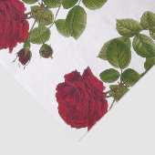 Rosen-Garten-Seidenpapier 10" x15 " Seidenpapier (Ausschnitt)