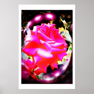 Rosen-Geister-Kunst Poster