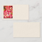 Rosen-Geschäftskarten Hannah Gordon durch Sacha Visitenkarte (Vorne/Hinten)