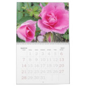 Rosen-Gewohnheits-Kalender Kalender (Mär 2027)