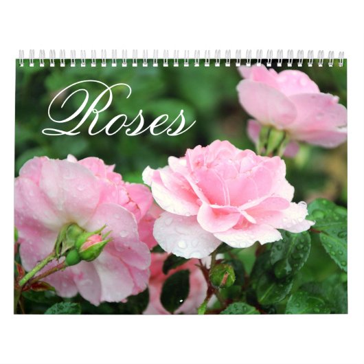 Rosen-Gewohnheits-Kalender Kalender (Titelbild)
