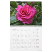 Rosen-Gewohnheits-Kalender Kalender (Jan 2027)