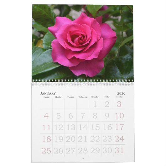 Rosen-Gewohnheits-Kalender Kalender (Jan 2026)