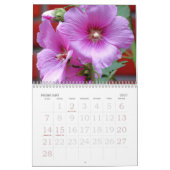 Rosen-Gewohnheits-Kalender Kalender (Feb 2027)