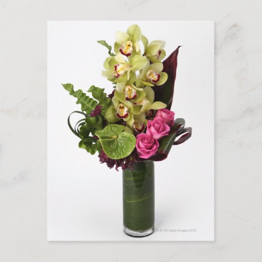 Rosen, grüne Anthurien, Cymbidium-Orchideen Postkarte (Vorderseite)