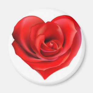 Rosen-Herz der Liebe Magnet