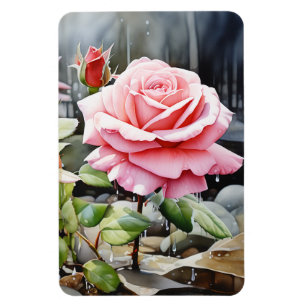 Rosen im Regenwasser in Rosa Magnet