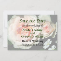 Rosen in blass rosa im Garten