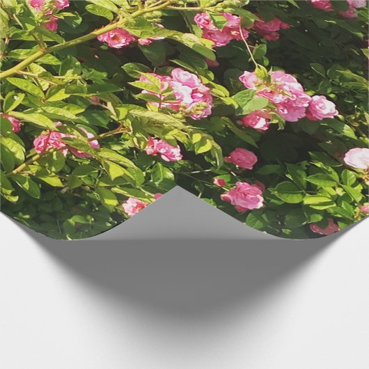 Rosen in Blüte Geschenkpapier (Ecke)