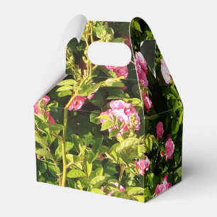 Rosen in Blüte Geschenkschachtel