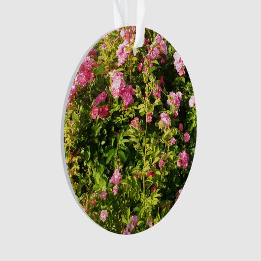 Rosen in Blüte Ornament (Vorderseite)