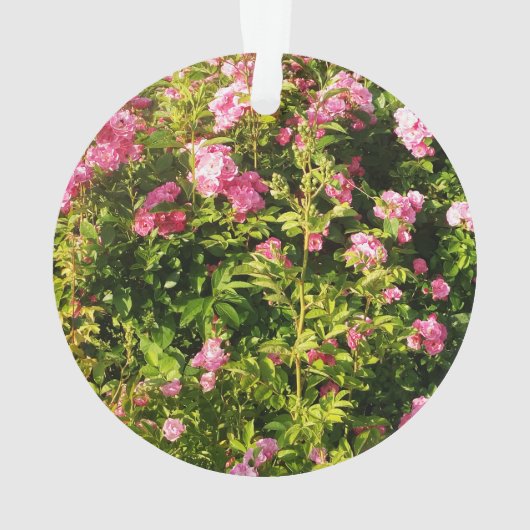 Rosen in Blüte Ornament (Rückseite)