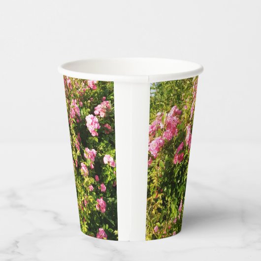 Rosen in Blüte Pappbecher (Rechts)