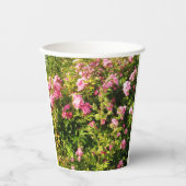 Rosen in Blüte Pappbecher (Vorderseite)