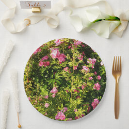 Rosen in Blüte Pappteller