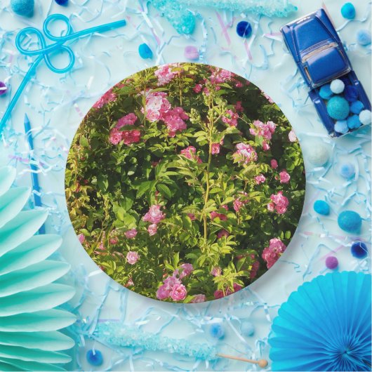 Rosen in Blüte Pappteller (Party)