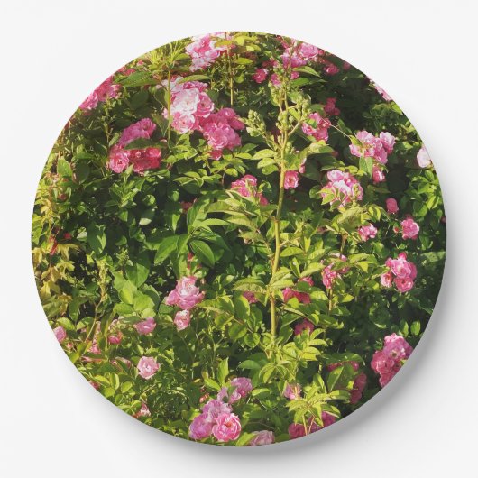 Rosen in Blüte Pappteller (Vorderseite)