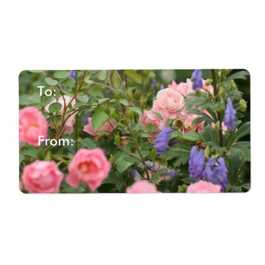 Rosen in einer Rose (Vorne)