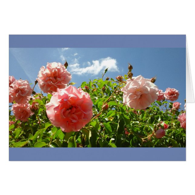 Rosen in Monets Garten (Vorderseite (Horizontal))