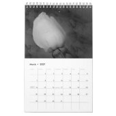 Rosen-Kalender 2015 - hinter in der Zeit Kalender (Mär 2027)