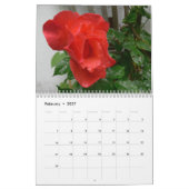 Rosen-Kalender 2016 Kalender (Feb 2027)