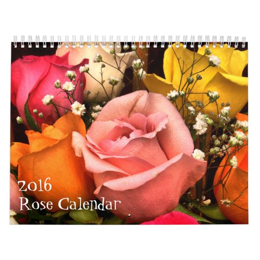 Rosen-Kalender 2016 Kalender (Titelbild)
